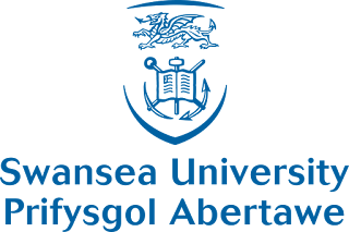 Swansea University Developing Futures Scholarship